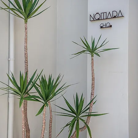 Nomada Chania 1 Apartment Chania (Crete)